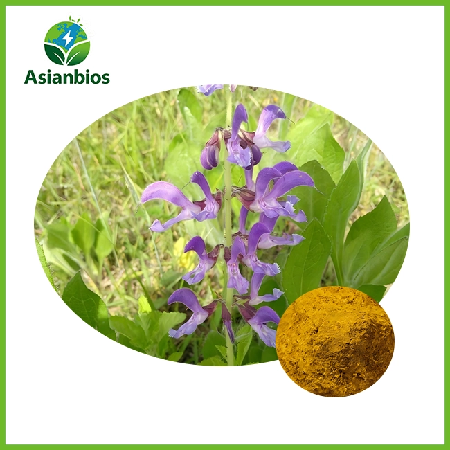 Tanshinone Danshen Extract Powder